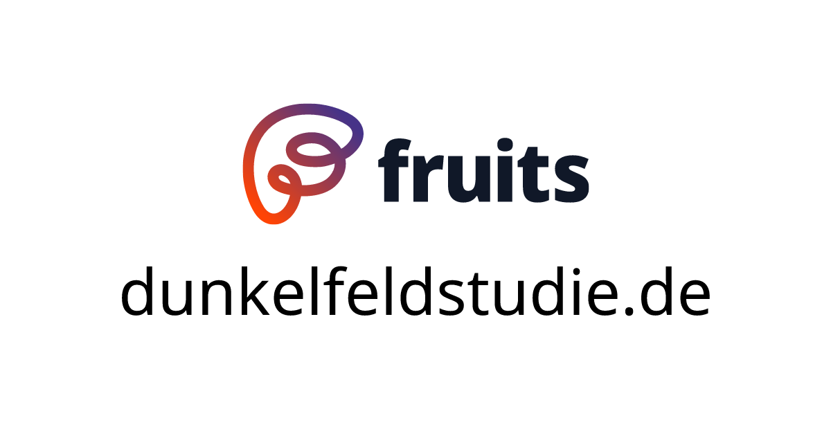 dunkelfeldstudie.de